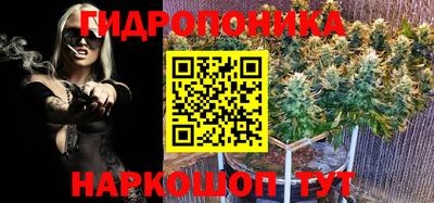 стаф Кунгур