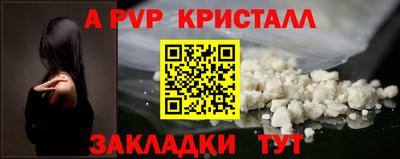 стаф Кунгур